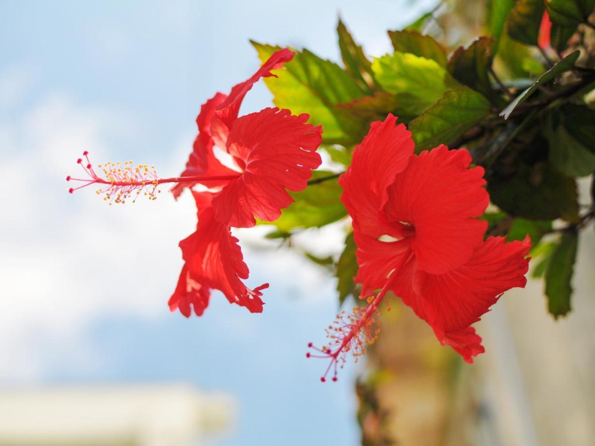 Hotel Palm Royal Naha Kokusai Street Dış mekan fotoğraf